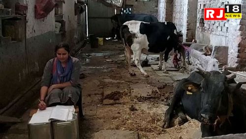 गौशाला में बैठकर पशुओं की देखभाल करते हुए पढ़ती थी, पहले ही प्रयास में बनीं जज….-image-642d9d8fc4664