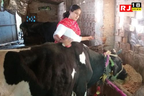 गौशाला में बैठकर पशुओं की देखभाल करते हुए पढ़ती थी, पहले ही प्रयास में बनीं जज….-image-642d9d8fc4664