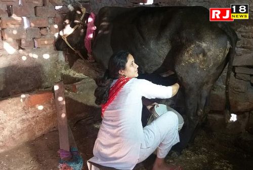 गौशाला में बैठकर पशुओं की देखभाल करते हुए पढ़ती थी, पहले ही प्रयास में बनीं जज….-image-642d9d8fc4664