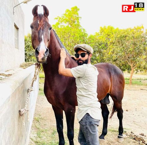 राजा महाराजाओं की जिंदगी जीते हैं रविंद्र जडेजा देखिए परिवार के साथ कुछ खूबसूरत फोटो।-image-643283b63e678