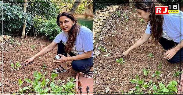 जूही चावला ने अपने फार्महाउस में बनाया नया ऑफिस, फिल्मों से दूर अब कर रही हैं खेती